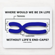 Where Would We Be In Life Without Life's End Caps? Mouse Pads