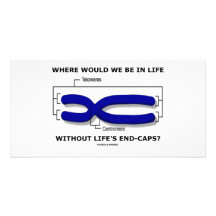 Where Would We Be In Life Without Life's End Caps? Photo Cards