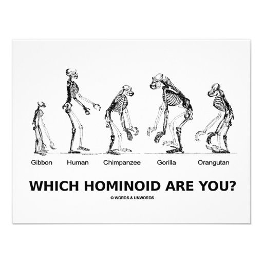 Which Hominoid Are You? (Hominid Skeletons) Custom Announcements