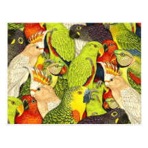 Whimsical Nature Green Parrots Birds Pattern Postcards