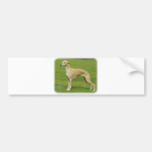 Whippet 9A002D-01 Bumper Sticker