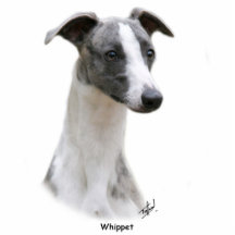 Whippet 9Y205D-231 Photo Cut Out