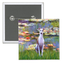 Whippet (brown-white) - Lilies 2 Button