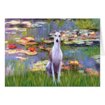 Whippet (brown-white) - Lilies 2 Greeting Card