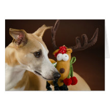 Whippet Christmas card Karte