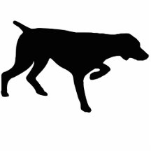 Whippet dog photo cut outs
