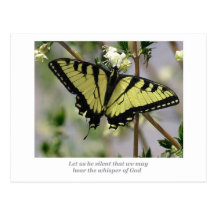 Whisper Butterfly Post Cards