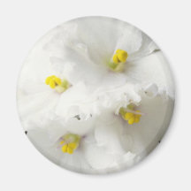 white African violet Garden Hews flowers Fridge Magnet