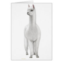 White Alpaca Greeting Card