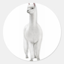 White Alpaca Sticker