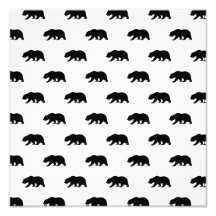 White and Black Grizzly Bear Pattern Photo Print