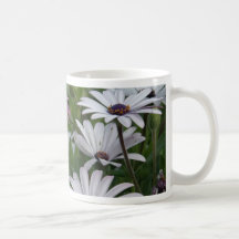 White and Pink Daisies Mugs