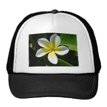 White and Yellow Frangipani blossom Trucker Hat
