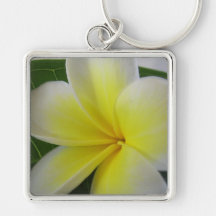 White And Yellow Frangipani Flower Key Chain