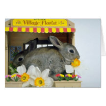 white Apricot and Blue Rex rabbits flowers Greeting Card