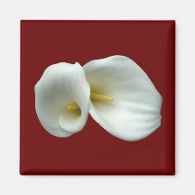White Arum Lilies Fridge Magnets