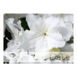 White Azalea - Save the date - Announcement