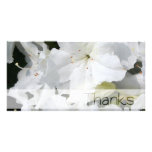 White Azalea - Thanks Photo Greeting Card