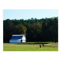 White Barn & Horses Postcard