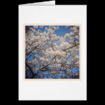 White Blossom cards