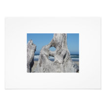 White Border Blue Sky Ocean Waves Driftwood Photo