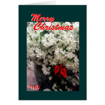 White Bougainvilleas, Merry Christmas Card