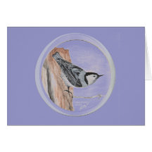 white breasted nuthatch greeting cards