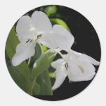 White Butterfly Ginger Round Sticker