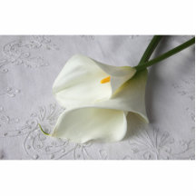 white calla lilies photo sculpture small