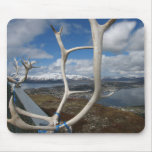 White Caribou Bones Mousepad