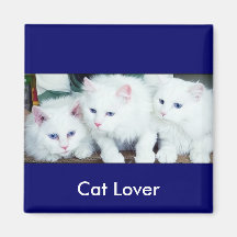 White cat magnet