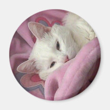 White Cat Magnet