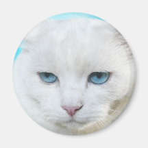 White cat refrigerator magnet