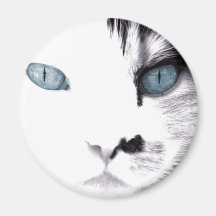 White Cat Refrigerator Magnet