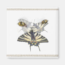 White Cat Swallowtail  Magnet
