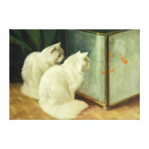 White Cats Watching Goldfish canvas prints
