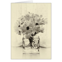 White Chrysanthemums Greeting Cards