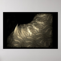 White Crow Poster