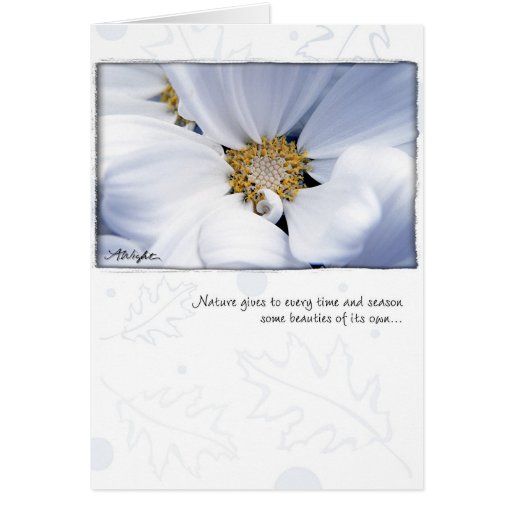 White Dahlia by Anna Wight Cards