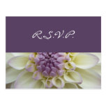 White Dahlia • RSVP Postcard