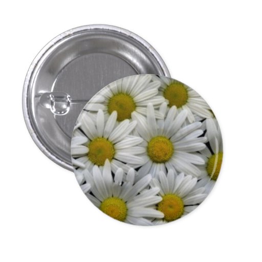 White Daisies Pinback Buttons