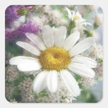 White Daisy Bouquet Square Stickers