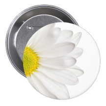 White Daisy Flower Background Customized Daisies Pins