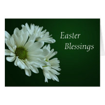 White Daisy Mums  Easter Blessings Card
