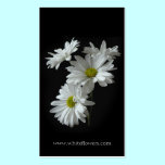 White Daisy Mums Floral Business Card business cards