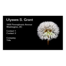 White Dandelion Flower Plant Business Card