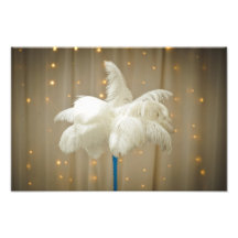 White decor feathers art photo