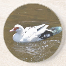 White Duck. Beverage Coaster