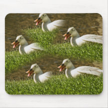 White duck on a mousepad
