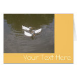 White Ducks Swimming Card